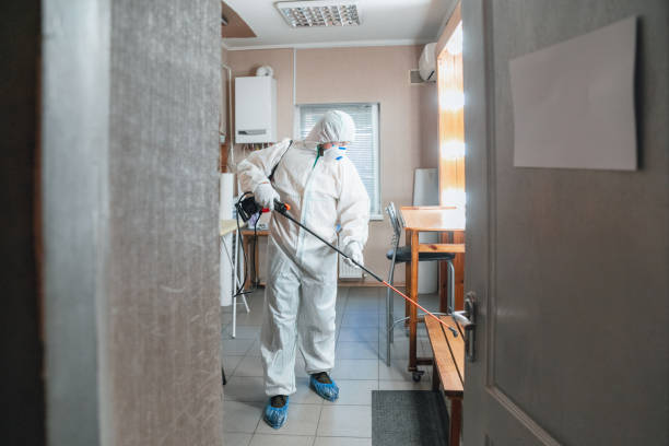 Mold Removal for HVAC Installations in Edmond, OK