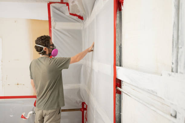  Edmond, OK Mold Removal Pros