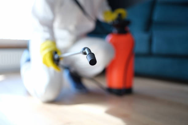 Best Mold Odor Removal Services  in Edmond, OK