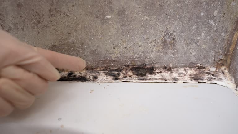 Best Residential Mold Inspection & Testing  in Edmond, OK