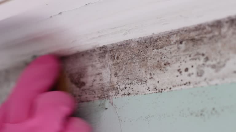 Best Mold-Related Health Consultation  in Edmond, OK